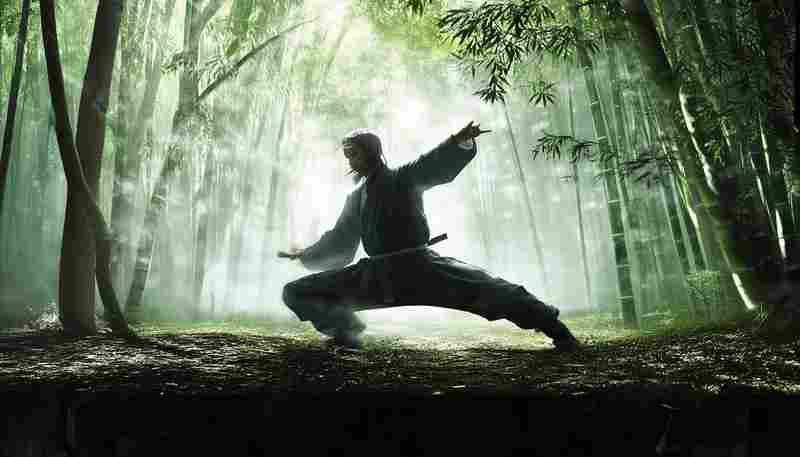 绝世好武功形意貂任务触发条件详解