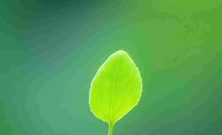 宝可梦朱紫特定巢穴刷6V百变怪实战教学